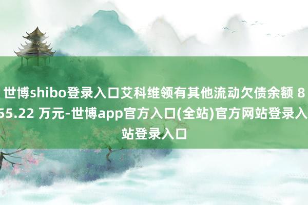 世博shibo登录入口艾科维领有其他流动欠债余额 8155.22 万元-世博app官方入口(全站)官方网站登录入口