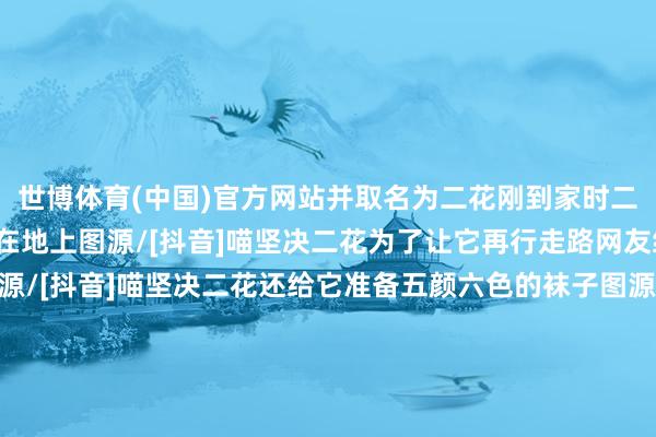 世博体育(中国)官方网站并取名为二花刚到家时二花疼的没法走路只可趴在地上图源/[抖音]喵坚决二花为了让它再行走路网友给家里铺满了地毯图源/[抖音]喵坚决二花还给它准备五颜六色的袜子图源/[抖音]喵坚决二花是主东说念主的爱让它领有了全天下唯一无二的“脚印有东说念主视它为杂草剪断其动作就会有东说念主待它为张含韵铺上优柔的地毯冉冉的二花会一瘸一拐地朝着网友跑去图源/[抖音]喵坚决二花知说念二花用猫砂会躲