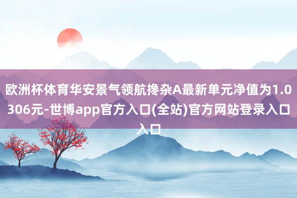 欧洲杯体育华安景气领航搀杂A最新单元净值为1.0306元-世博app官方入口(全站)官方网站登录入口
