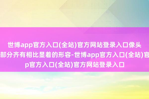 世博app官方入口(全站)官方网站登录入口像头发、衣领等细节部分齐有相比显着的形容-世博app官方入口(全站)官方网站登录入口