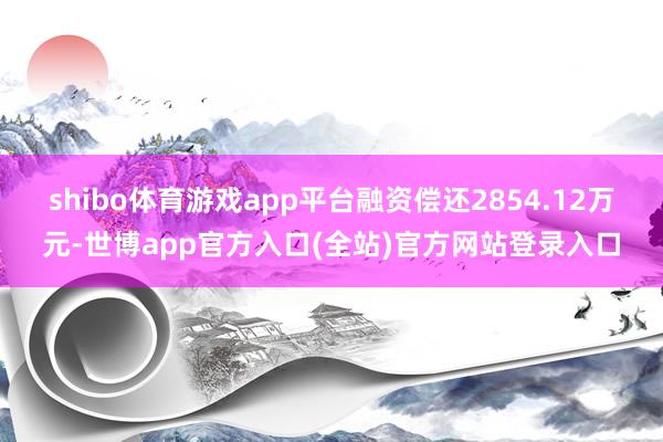 shibo体育游戏app平台融资偿还2854.12万元-世博app官方入口(全站)官方网站登录入口