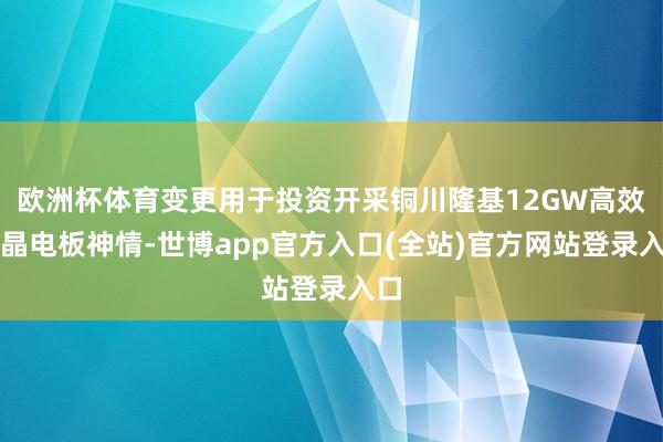 欧洲杯体育变更用于投资开采铜川隆基12GW高效单晶电板神情-世博app官方入口(全站)官方网站登录入口