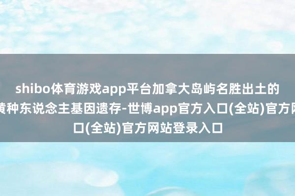 shibo体育游戏app平台加拿大岛屿名胜出土的汉字碑文与黄种东说念主基因遗存-世博app官方入口(全站)官方网站登录入口