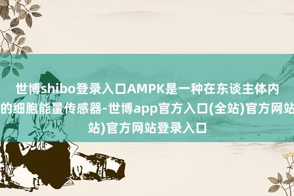 世博shibo登录入口AMPK是一种在东谈主体内高度进化的细胞能量传感器-世博app官方入口(全站)官方网站登录入口