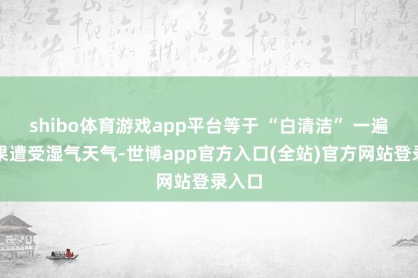 shibo体育游戏app平台等于 “白清洁” 一遍；如果遭受湿气天气-世博app官方入口(全站)官方网站登录入口